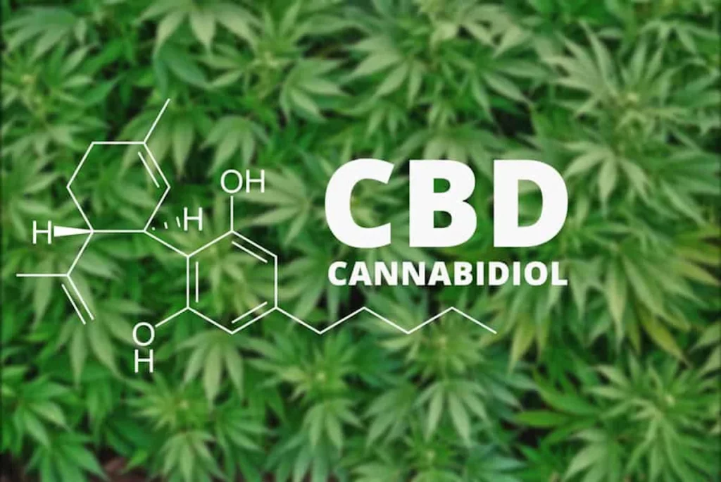 CBD Natural para bienestar diario
