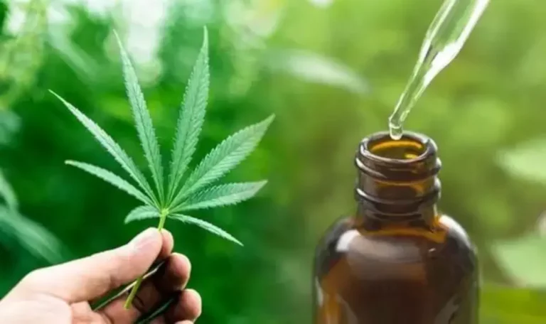 Aceite de CBD y bienestar cutáneo