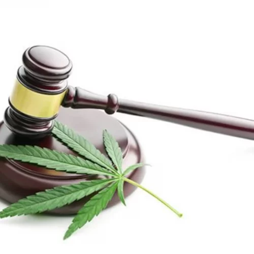 El CBD no altera la mente ni genera adicción