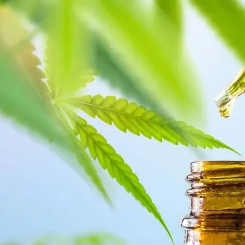 El CBD es legal en España