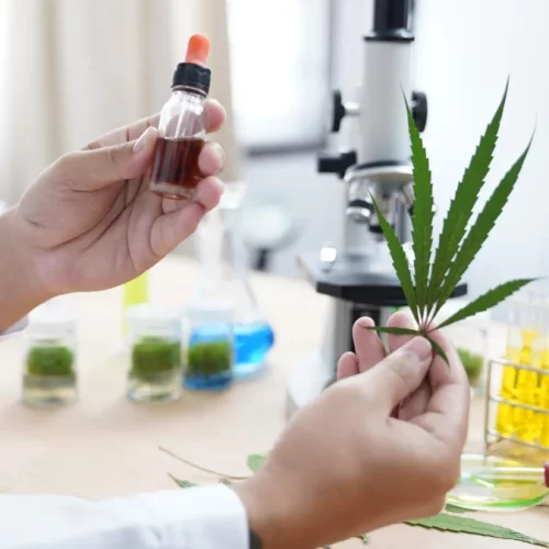 Aceite CBD antes de dormir